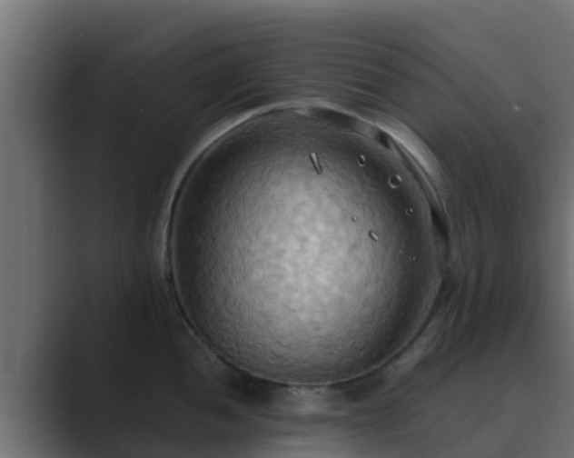 X0000089671052200706281336