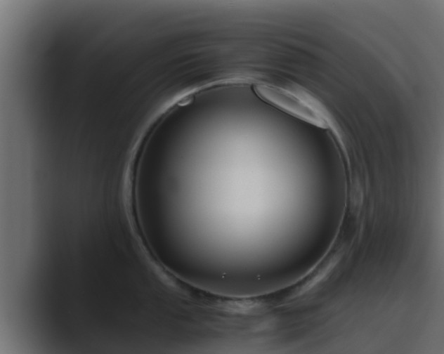 X0000089671053200706281336