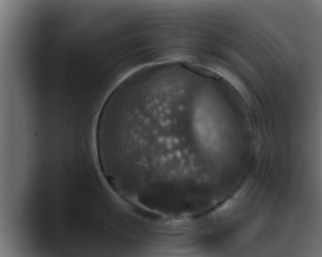 X0000089671055200706281336