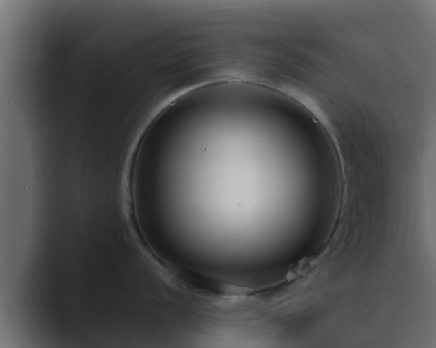 X0000089671056200706281336