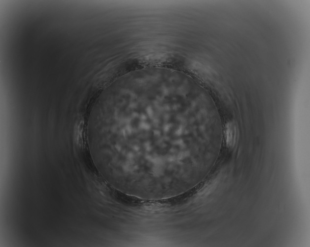 X0000089671059200706281335