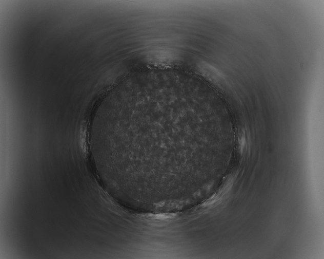 X0000089671060200706281335