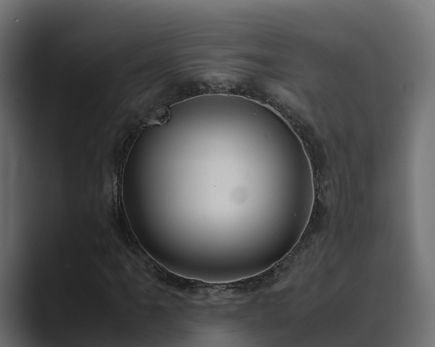 X0000089671061200706281335