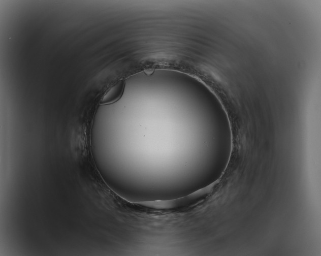 X0000089671062200706281335