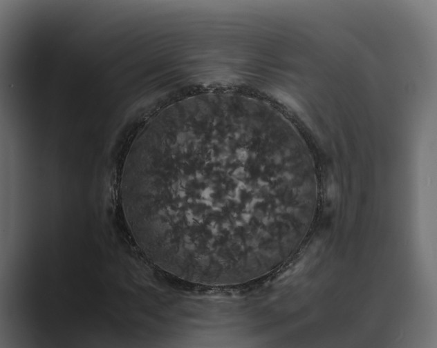 X0000089671063200706281335