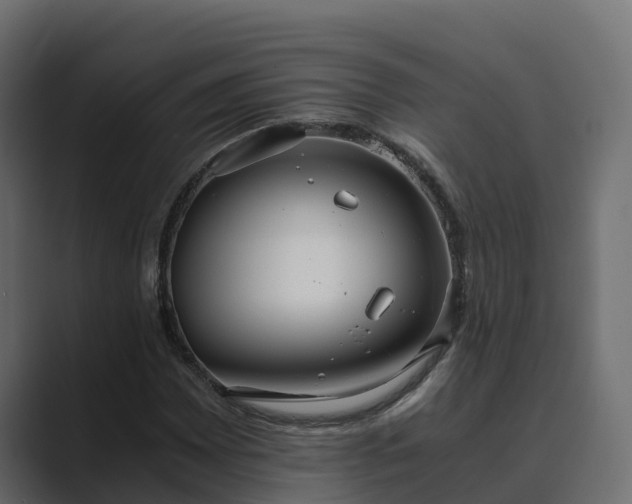 X0000089671065200706281335