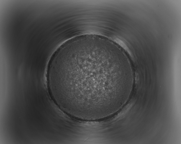 X0000089671068200706281335