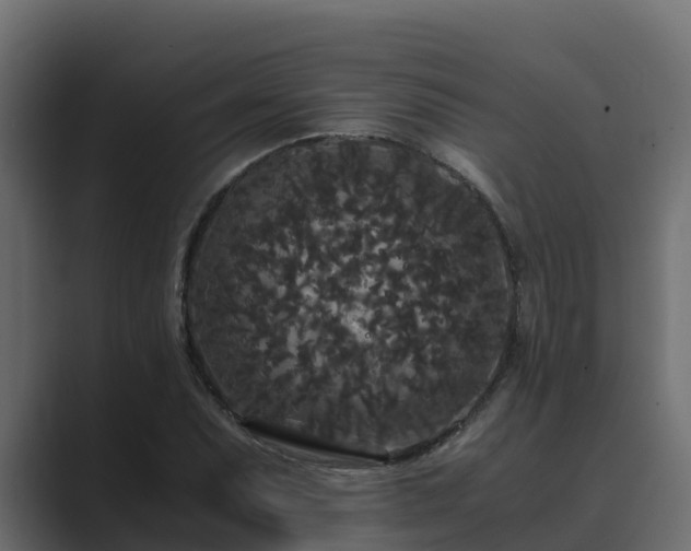 X0000089671071200706281335