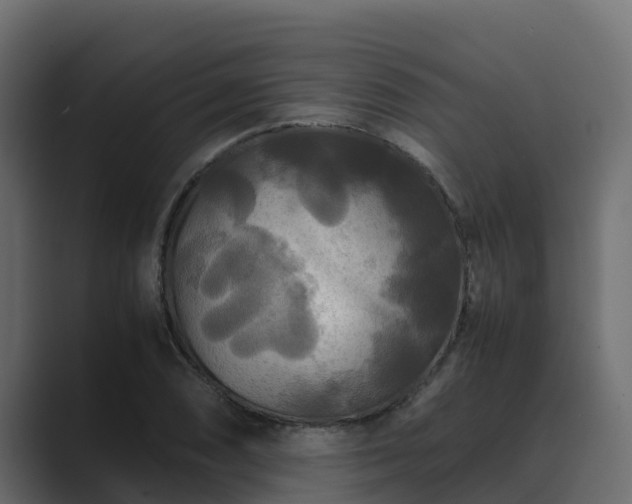 X0000089671074200706281335
