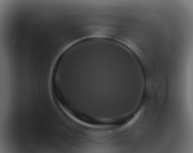 X0000089671077200706281335