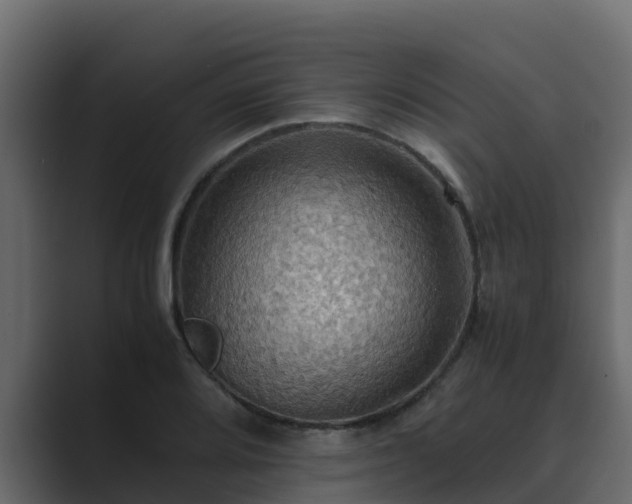 X0000089671080200706281335