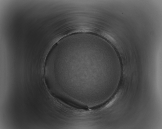 X0000089671081200706281335