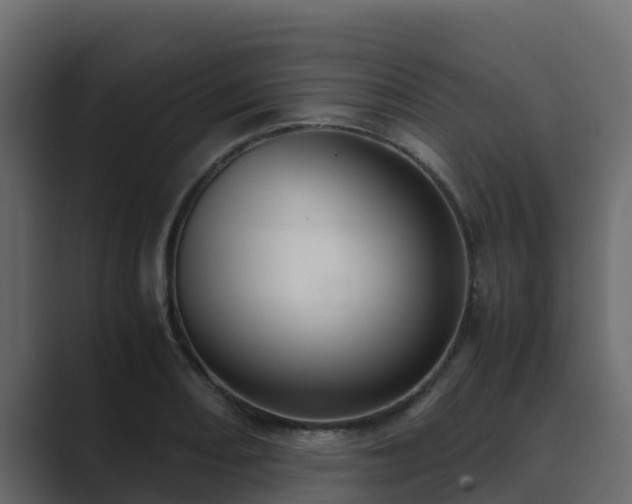 X0000089671082200706281335