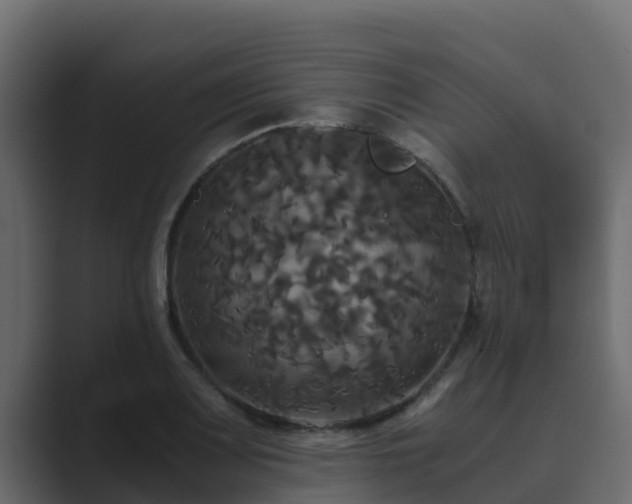 X0000089671083200706281335