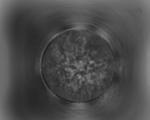 X0000089671087200706281335