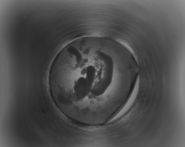 X0000089671091200706281335