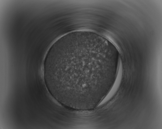 X0000089671092200706281335