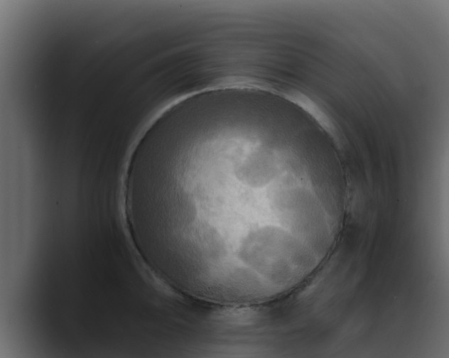 X0000089671094200706281335