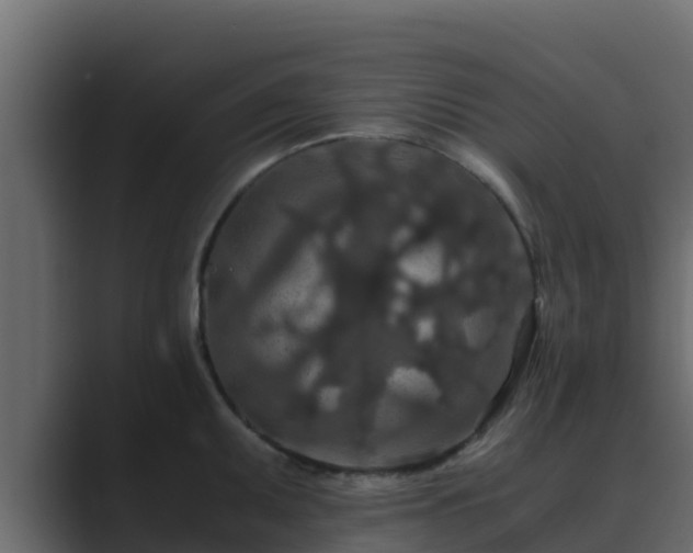 X0000089671095200706281335