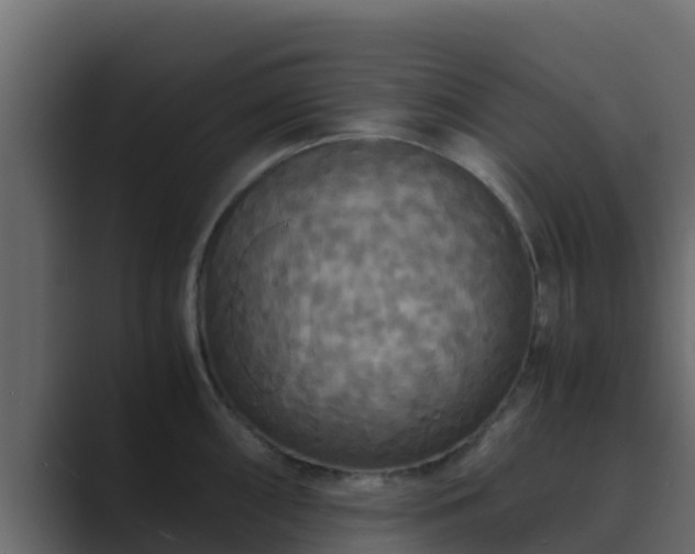 X0000089671098200706281335