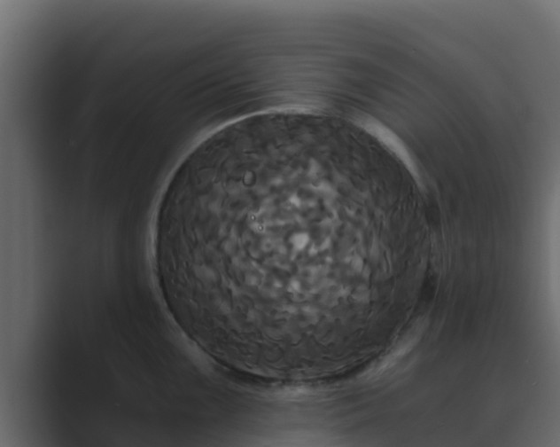 X0000089671099200706281335