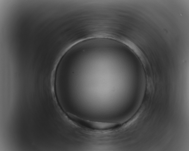 X0000089671102200706281335