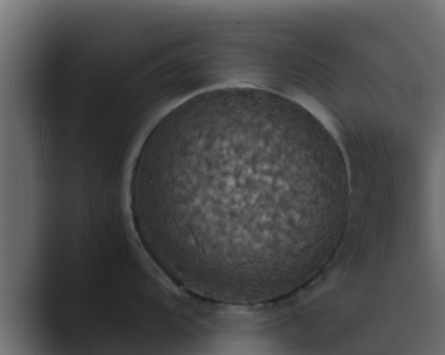 X0000089671104200706281335