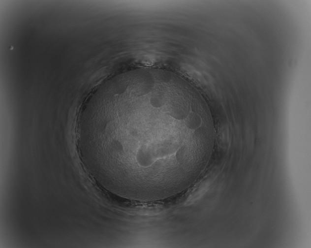 X0000089671105200706281334
