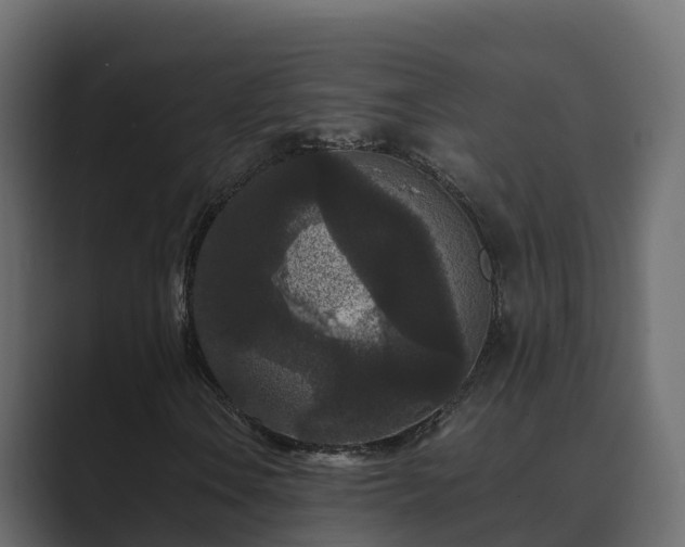 X0000089671106200706281334