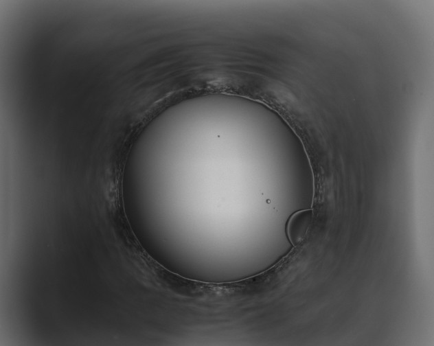 X0000089671109200706281334