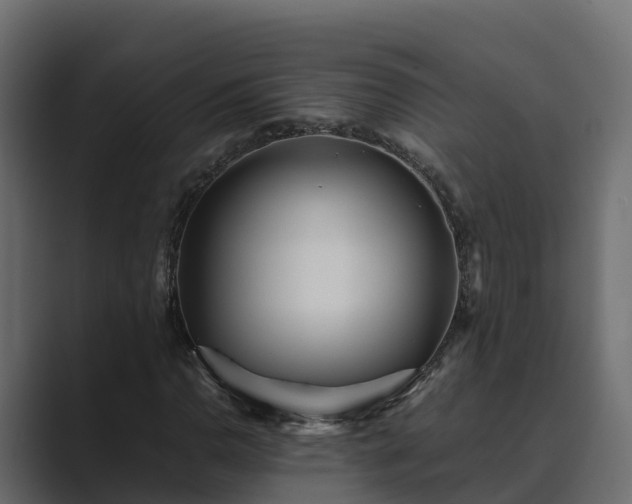 X0000089671110200706281334
