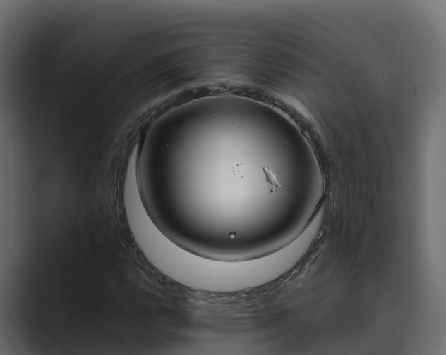 X0000089671112200706281334