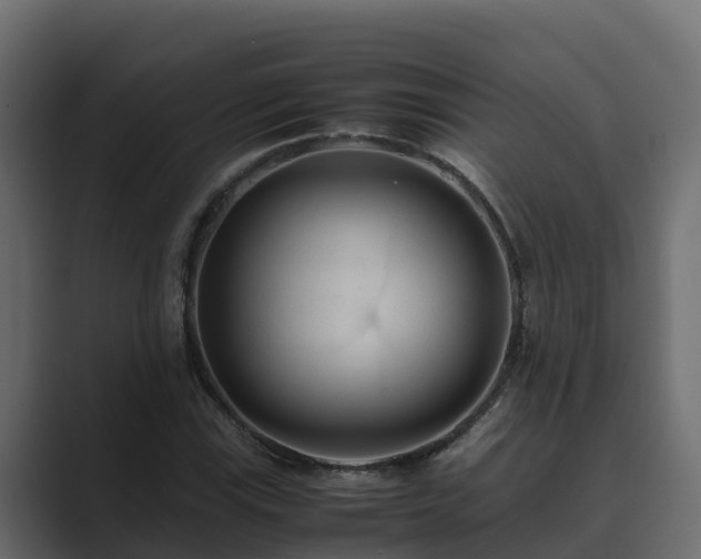 X0000089671115200706281334