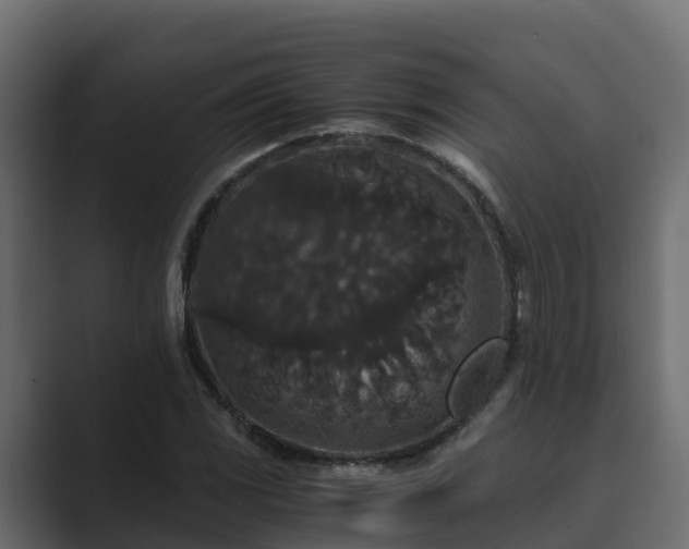 X0000089671117200706281334
