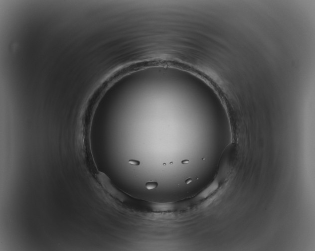 X0000089671118200706281334