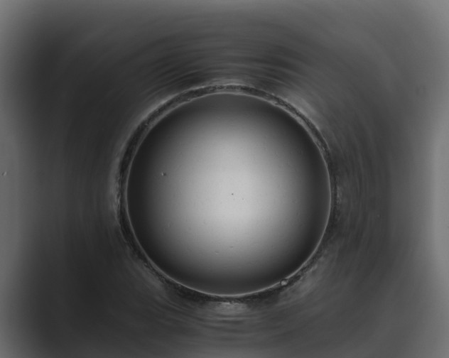 X0000089671119200706281334