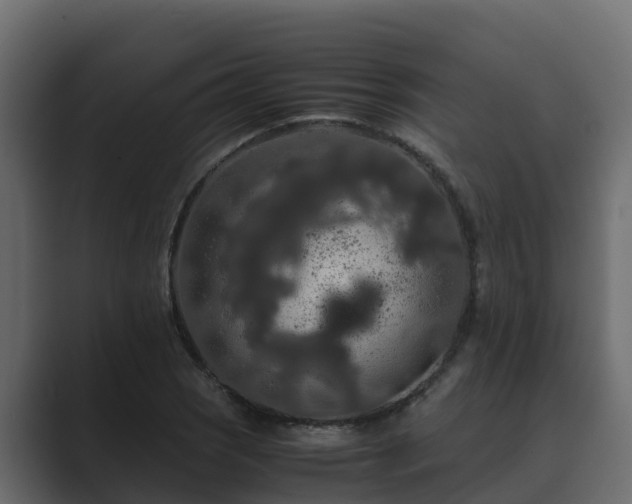 X0000089671121200706281334