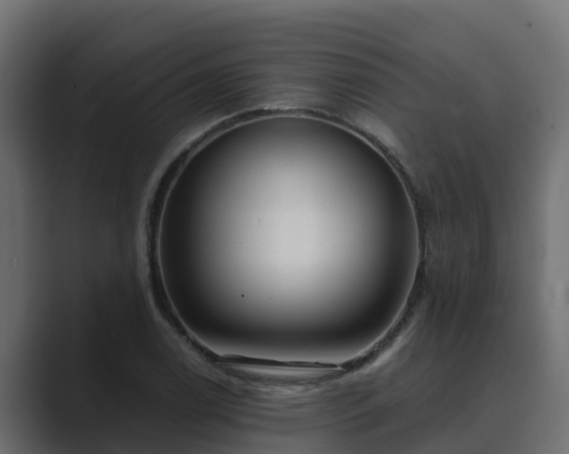 X0000089671122200706281334