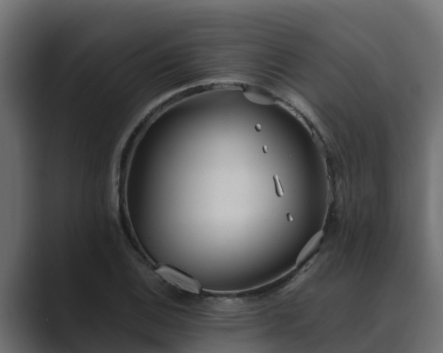 X0000089671124200706281334