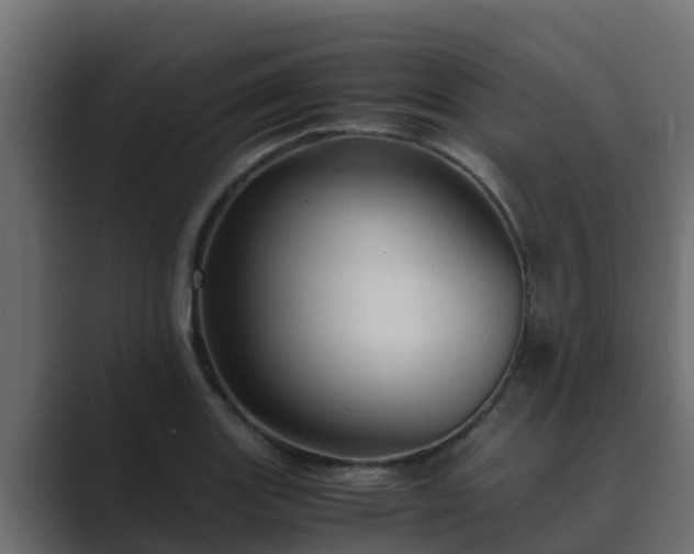 X0000089671131200706281335