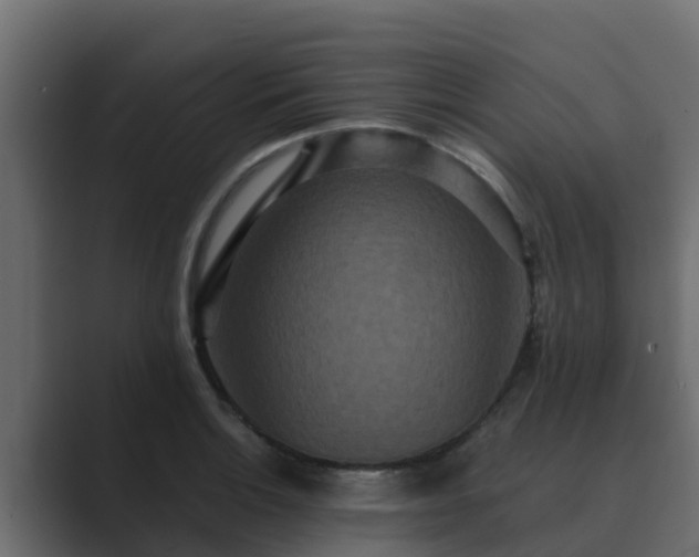 X0000089671132200706281335