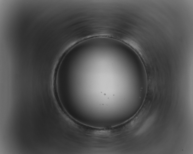 X0000089671135200706281335