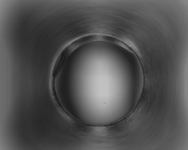 X0000089671136200706281335
