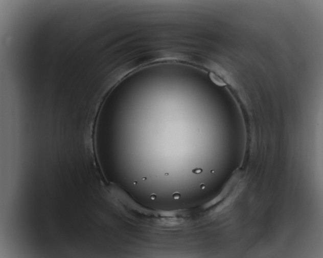X0000089671137200706281335