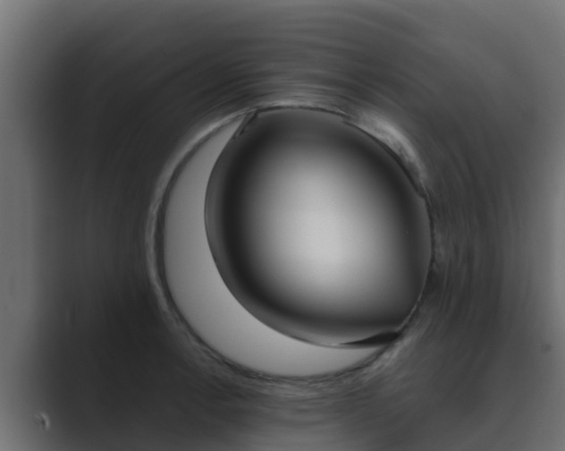 X0000089671138200706281335