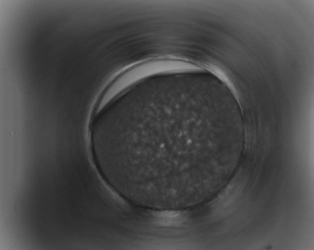 X0000089671141200706281335