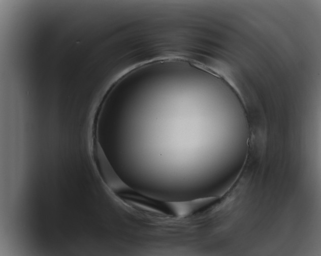 X0000089671143200706281335