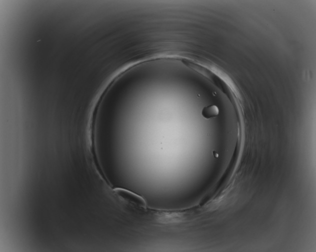 X0000089671148200706281335