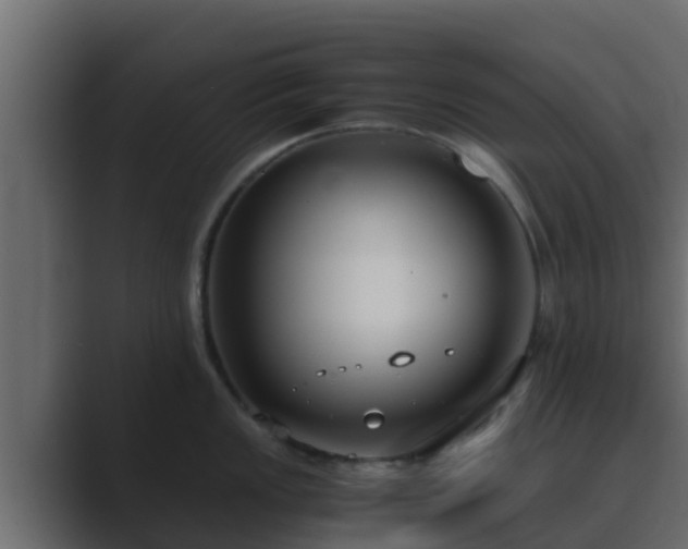 X0000089671149200706281335
