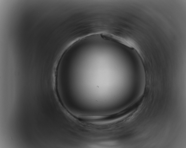 X0000089671151200706281335